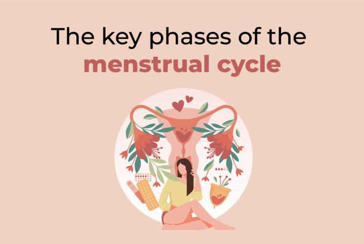 Menstrual cycle in women