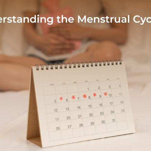 Understanding the Menstrual Cycle